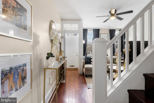 foyer with ceiling fan and dark wood-type flooring