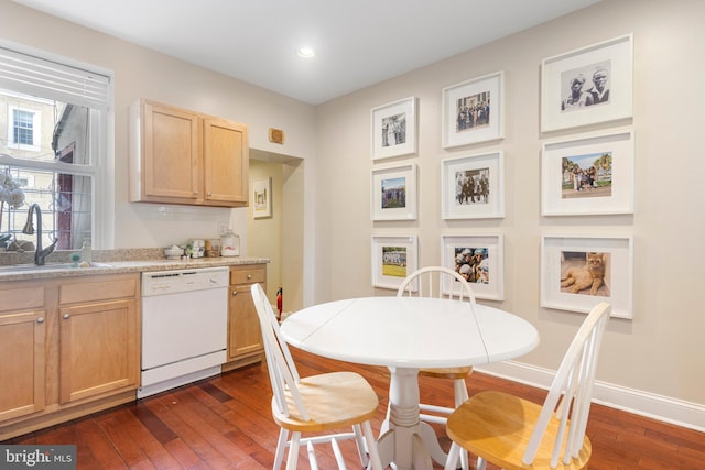 dining space with sink and dark wood-type flooring