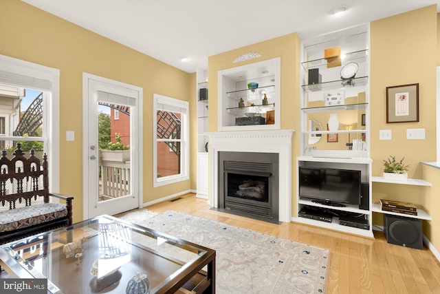 living room with hardwood / wood-style floors