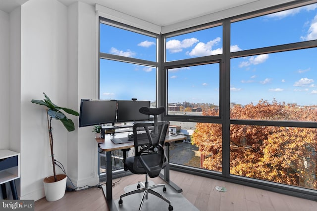 home office featuring plenty of natural light, expansive windows, and hardwood / wood-style floors