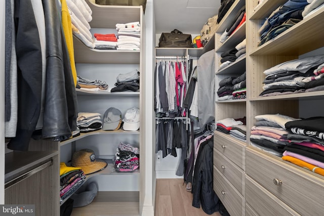 walk in closet with light wood-type flooring