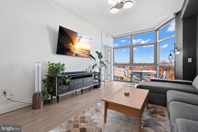 living room with light hardwood / wood-style flooring and a wall of windows