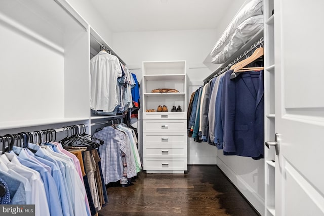 spacious closet featuring dark hardwood / wood-style flooring