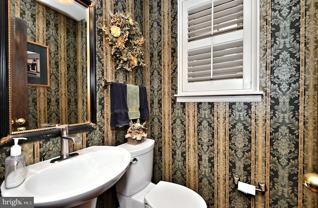 bathroom featuring sink and toilet