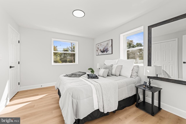 bedroom with multiple windows, a closet, and wood-type flooring