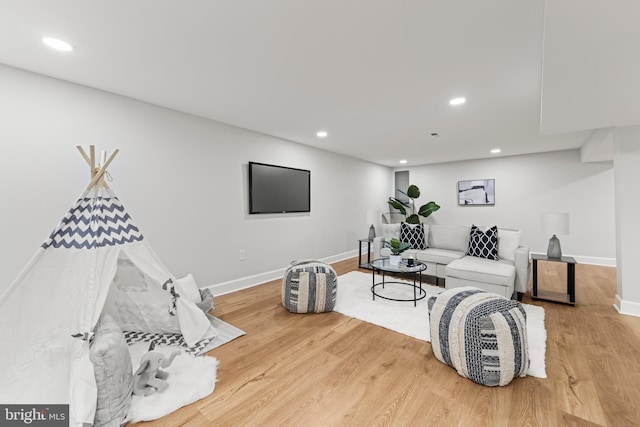 living room with wood-type flooring