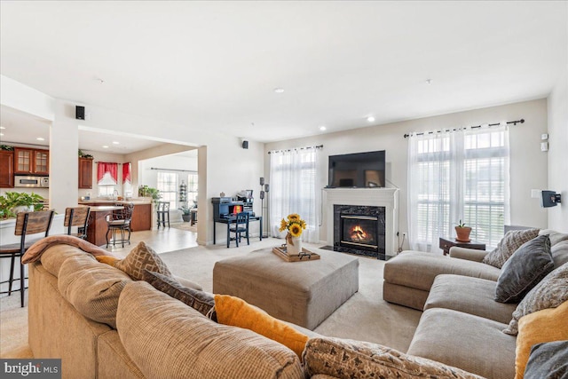 living room with a premium fireplace