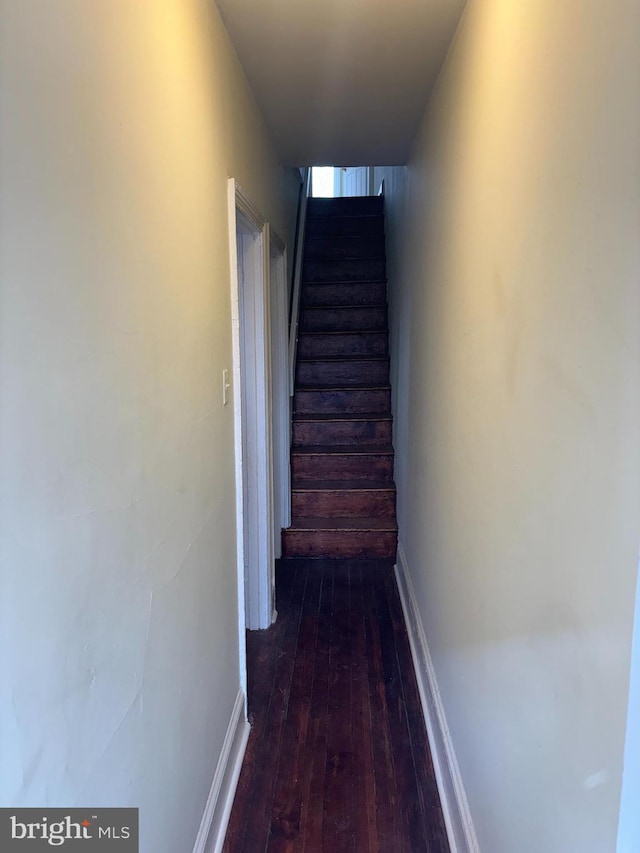 staircase featuring hardwood / wood-style floors