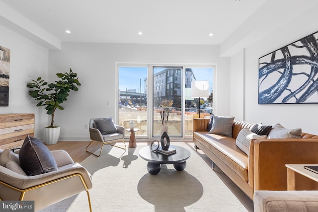 living room featuring hardwood / wood-style floors