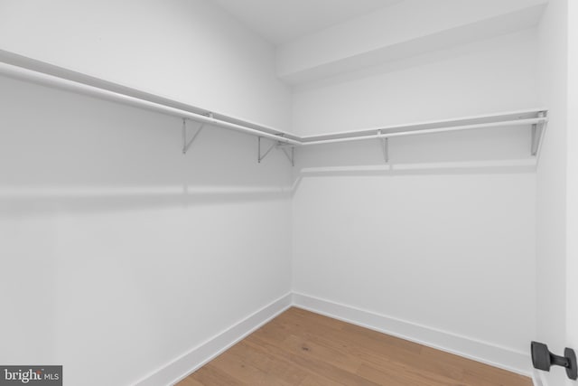 walk in closet featuring hardwood / wood-style flooring