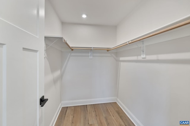 spacious closet with wood-type flooring