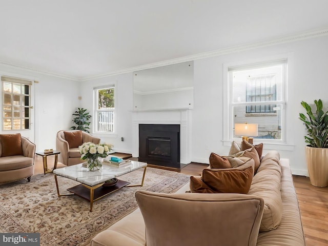 living room featuring hardwood / wood-style flooring and ornamental molding