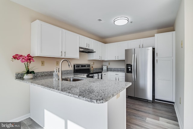 kitchen featuring kitchen peninsula, appliances with stainless steel finishes, light hardwood / wood-style floors, and sink