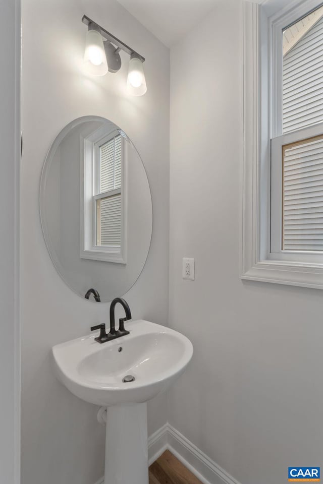 bathroom featuring wood-type flooring