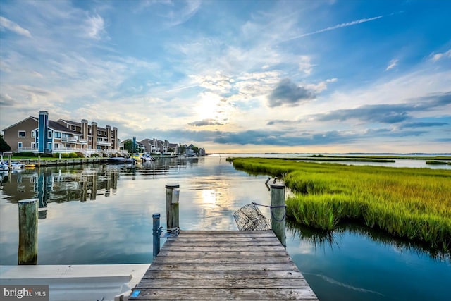 dock area with a water view