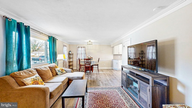 living room with ornamental molding and light hardwood / wood-style flooring