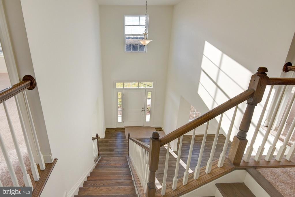 stairs featuring wood-type flooring