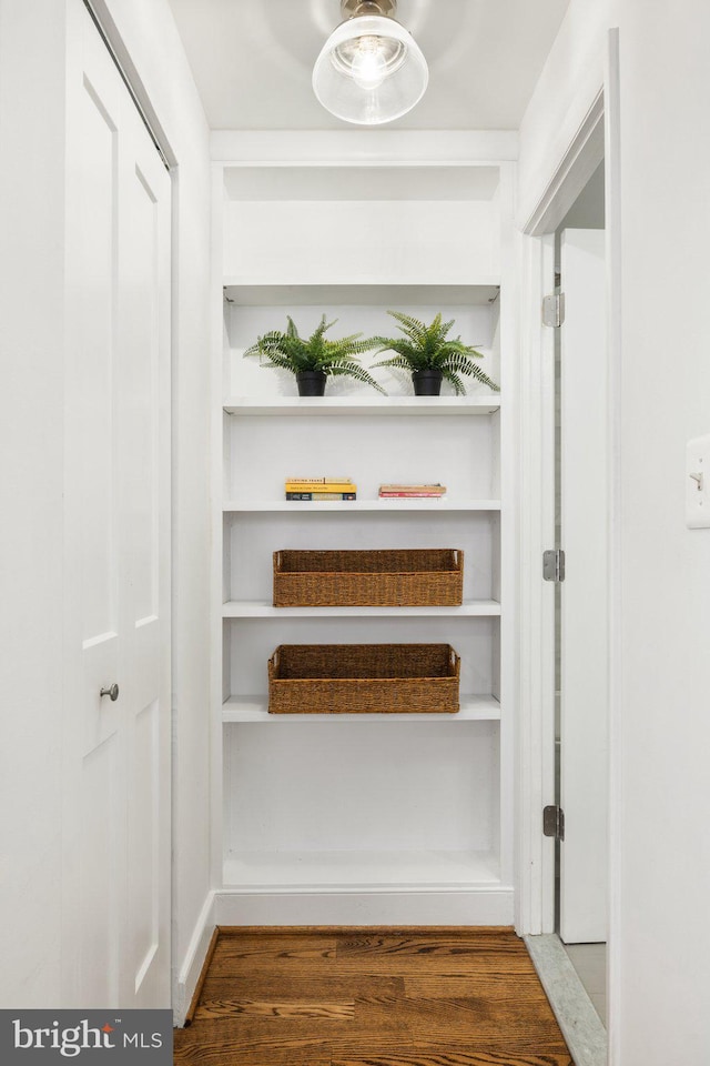 hall featuring dark wood-type flooring