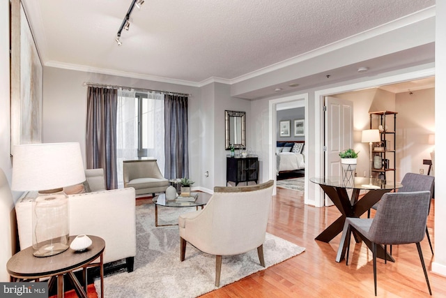 living room featuring rail lighting, light hardwood / wood-style floors, a textured ceiling, and ornamental molding