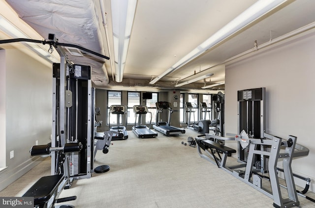 workout area with carpet floors