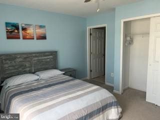 carpeted bedroom featuring a walk in closet and a closet