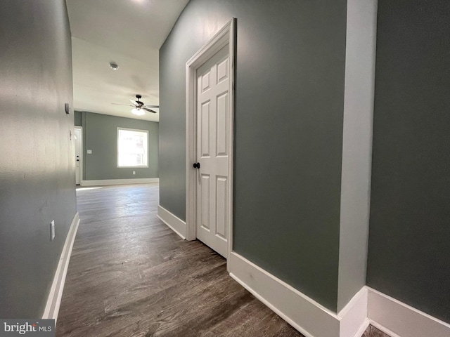 corridor featuring dark wood-type flooring