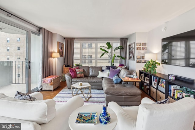 living room with wood-type flooring