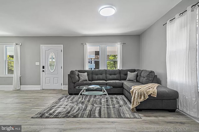 living room featuring a healthy amount of sunlight and light hardwood / wood-style floors