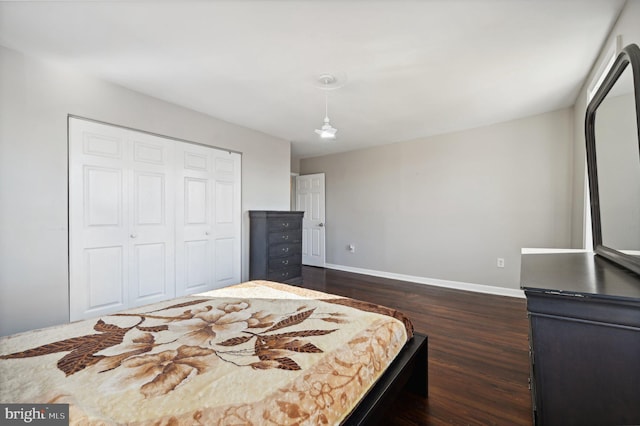 bedroom with dark hardwood / wood-style flooring and a closet