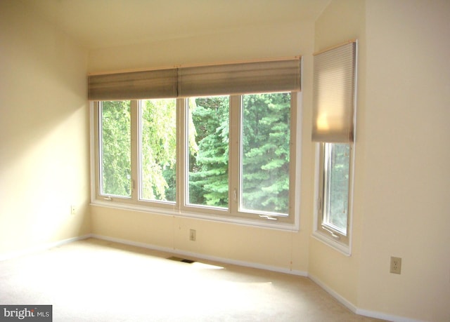 spare room featuring carpet floors