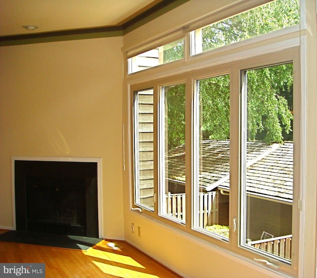 doorway to outside with wood-type flooring