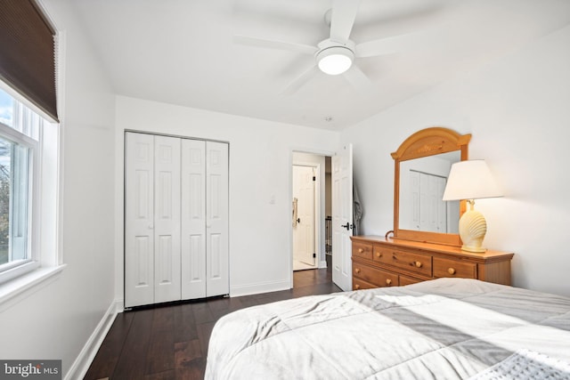 bedroom with dark hardwood / wood-style flooring, a closet, multiple windows, and ceiling fan