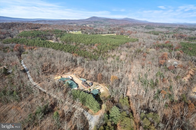 birds eye view of property featuring a mountain view