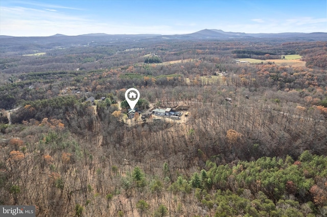 birds eye view of property featuring a mountain view