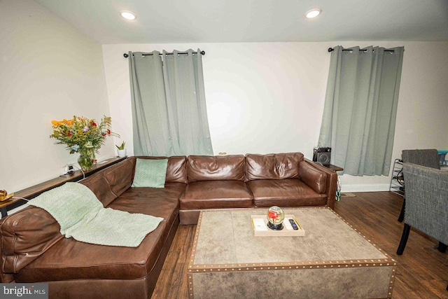 living room with dark hardwood / wood-style floors