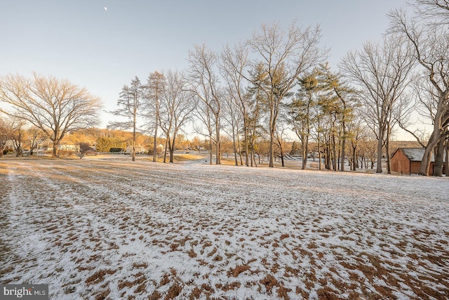 view of snowy yard