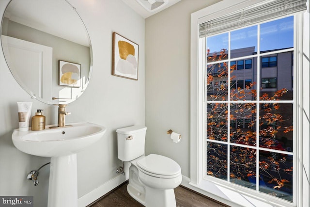 bathroom with wood-type flooring and toilet