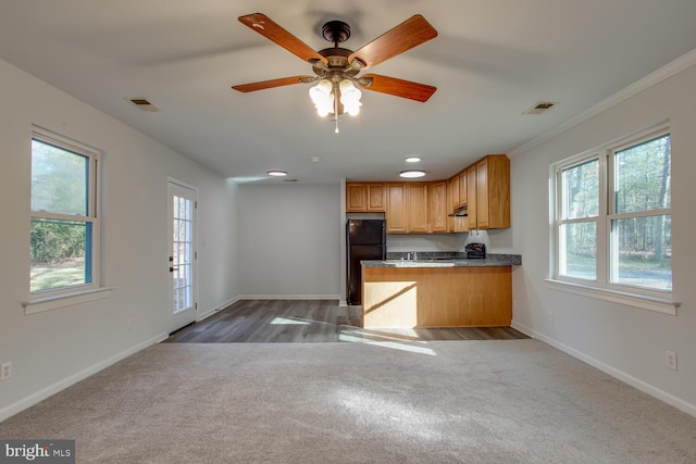 kitchen featuring light brown cabinets, dark wood-type flooring, black fridge, crown molding, and ceiling fan