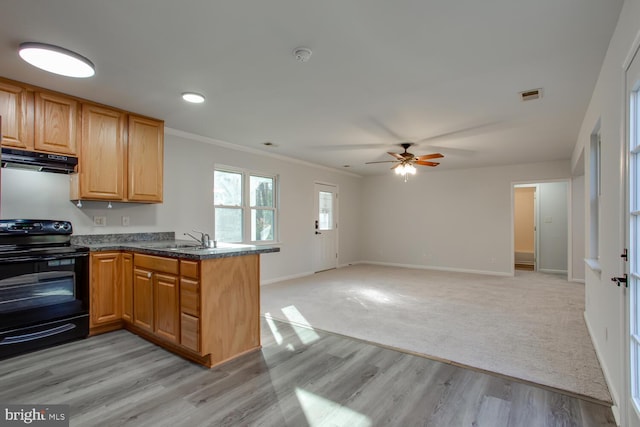 kitchen with sink, crown molding, black / electric stove, light hardwood / wood-style floors, and kitchen peninsula