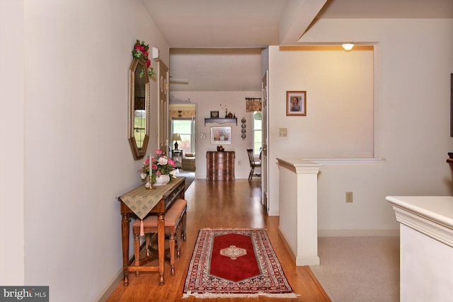 hall featuring hardwood / wood-style floors