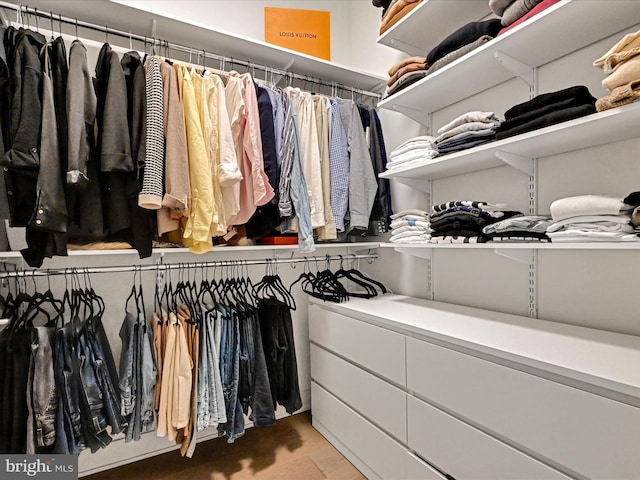 view of walk in closet