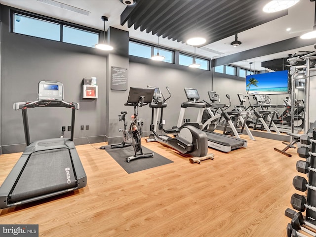 gym featuring hardwood / wood-style floors, a towering ceiling, and a healthy amount of sunlight