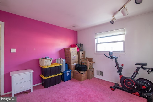 exercise room featuring light colored carpet