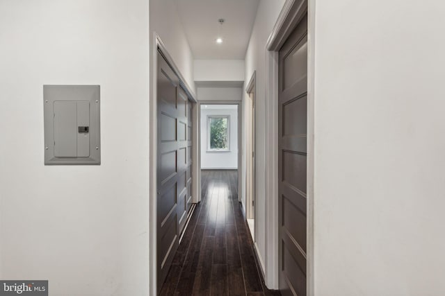 corridor with electric panel and dark hardwood / wood-style floors