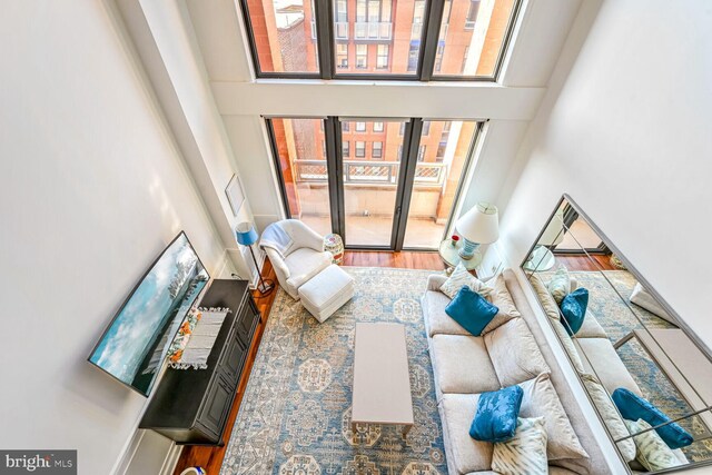 living room featuring wood-type flooring and a towering ceiling