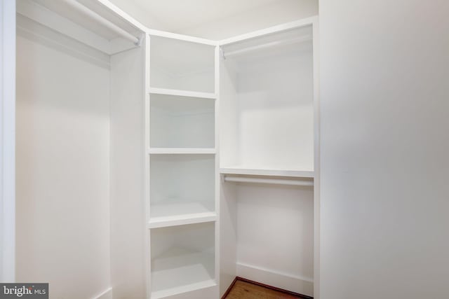 view of walk in closet