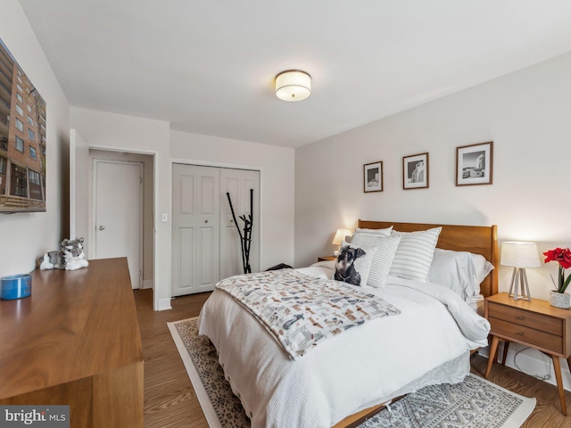 bedroom with dark wood-type flooring and a closet