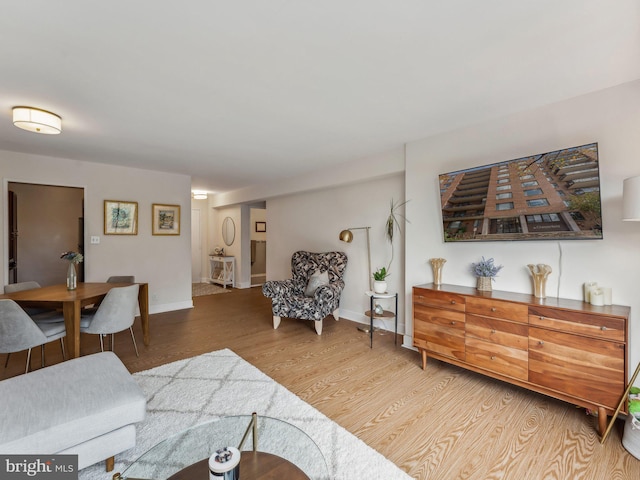 living room with hardwood / wood-style floors