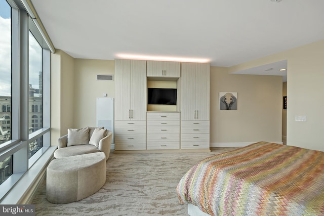 bedroom featuring floor to ceiling windows