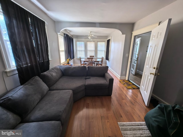 living room with ceiling fan and wood-type flooring